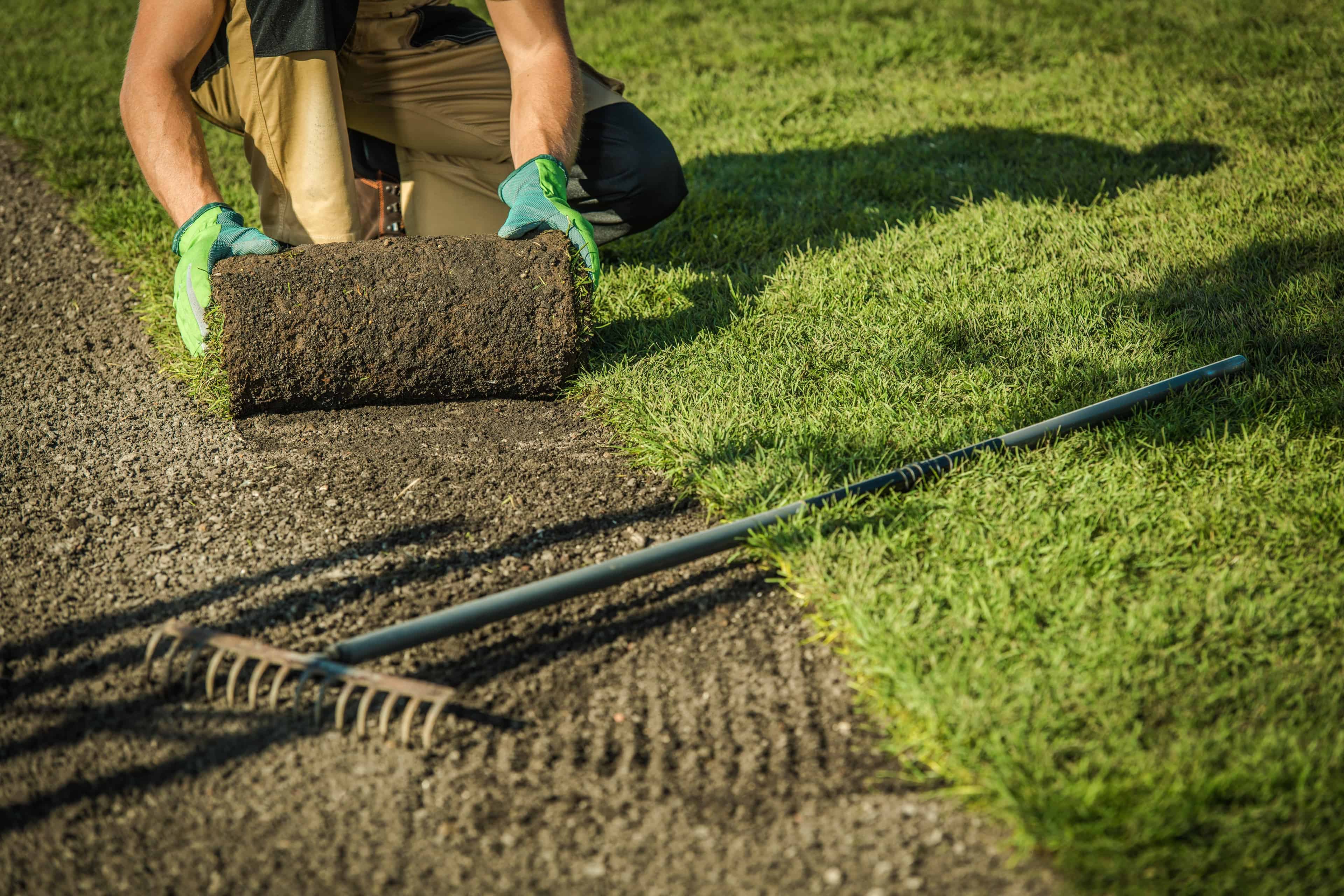 Sod Installation image
