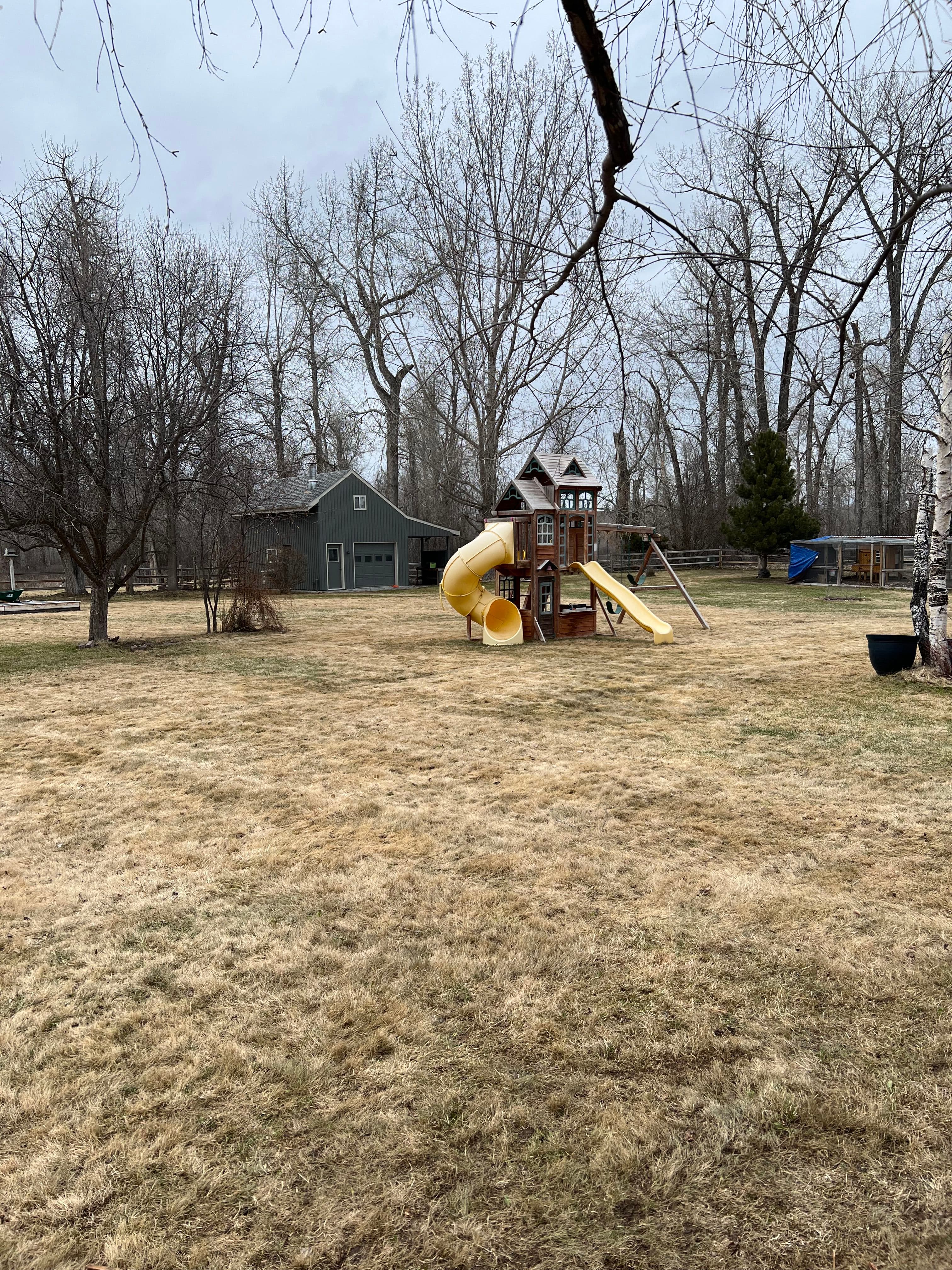 Playground with a yellow slide in a grassy yard surrounded by trees and a house.