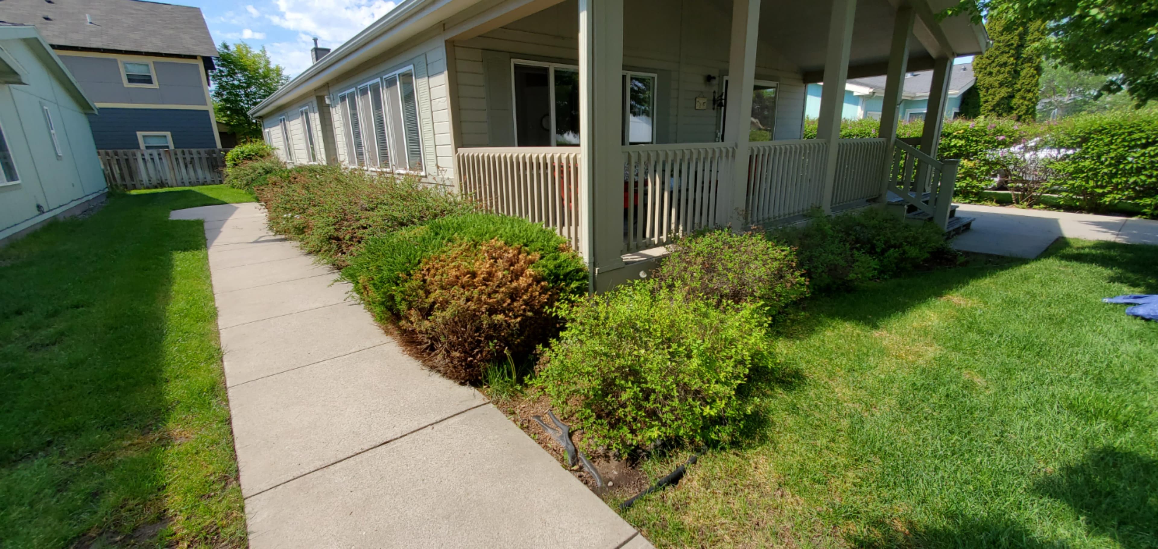 House with a porch surrounded by neatly trimmed bushes and a concrete walkway.