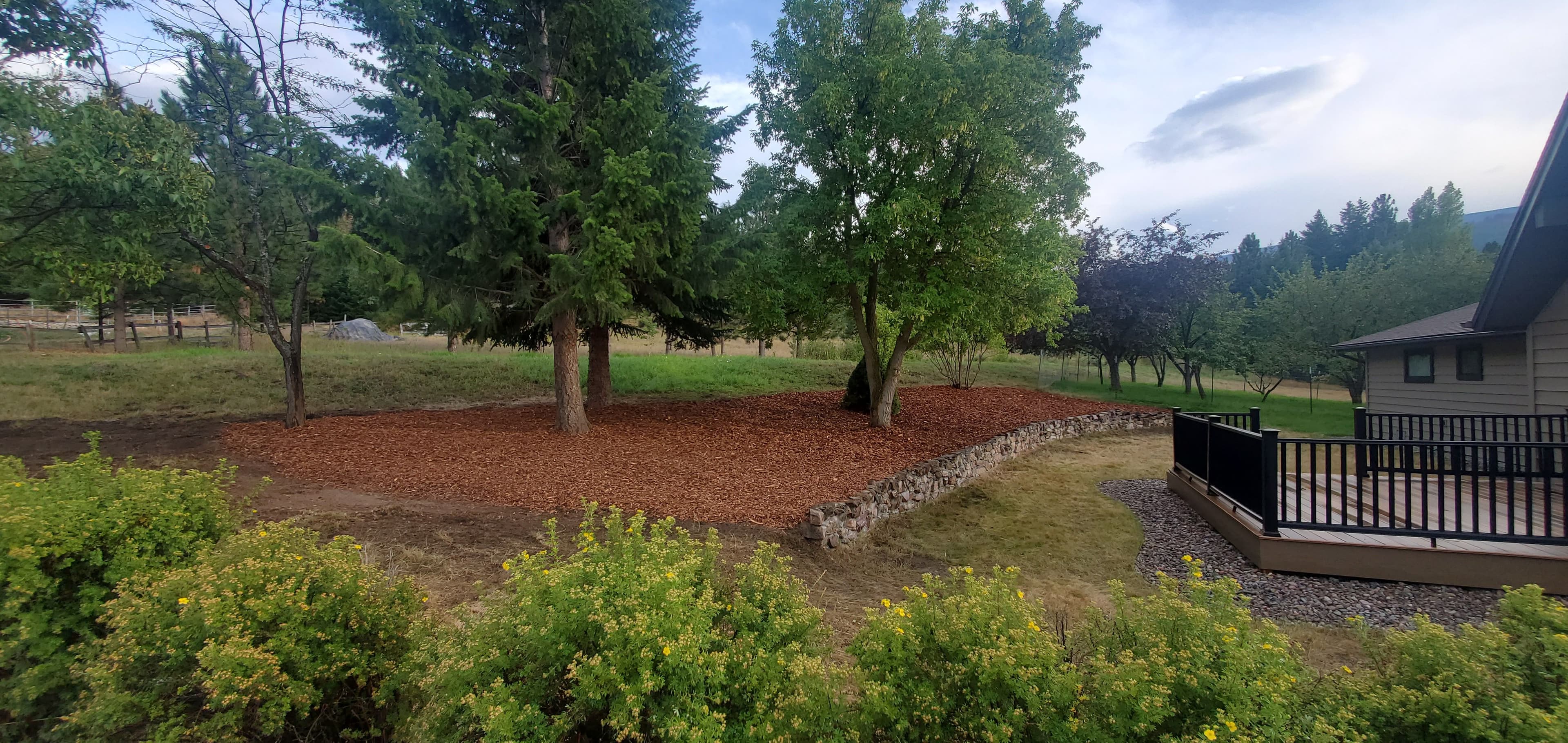 Landscape featuring a mulched garden area with trees, stone wall, and greenery.