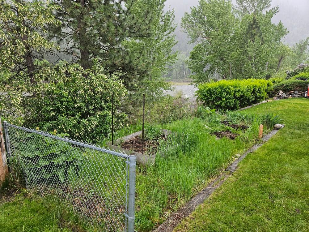 Lush green garden with a fence, trees, and misty lake in the background.