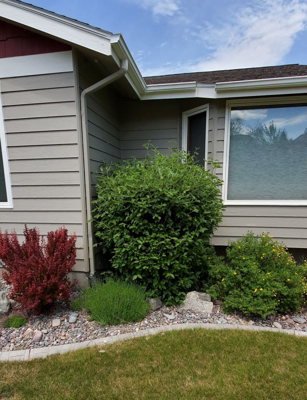 Landscape featuring a gray house exterior with green shrubs, decorative stones, and grass.